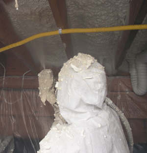 Santa Ana CA crawl space insulation